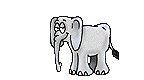 Elephant Graphic